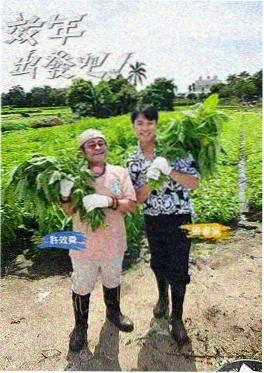 桃花坞